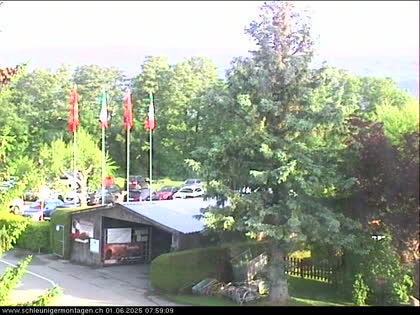 2025-06-01