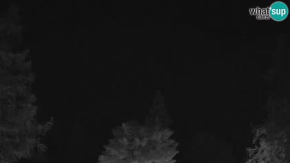 2025-06-06