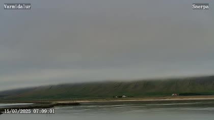 2025-07-15