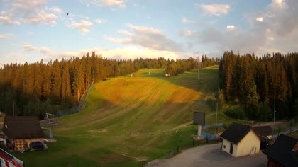 2026-07-31