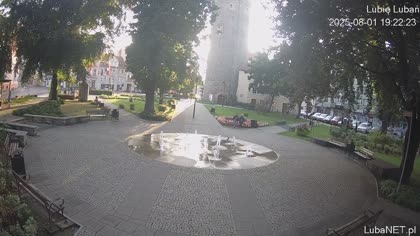2025-08-01