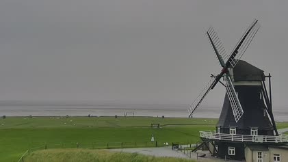 2025-06-10