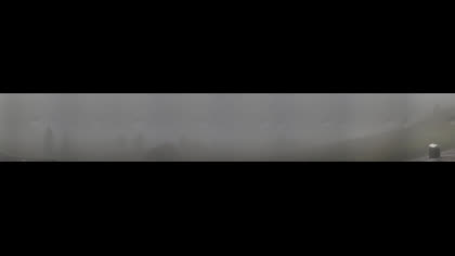 2025-07-07