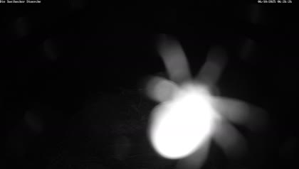 2025-10-06