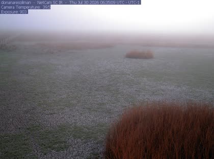 2026-07-30