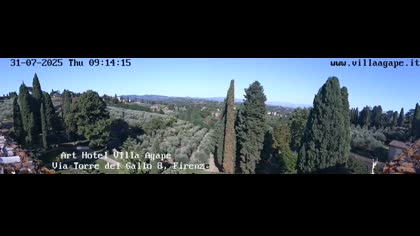2025-07-31
