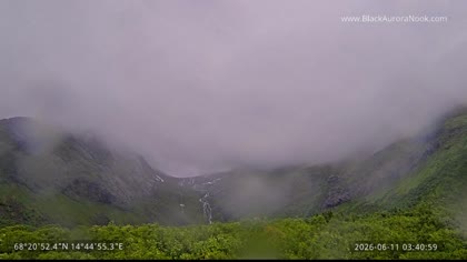 2026-06-11