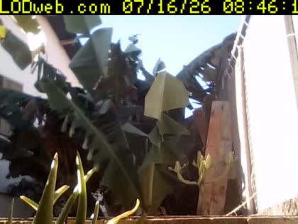 2026-07-16