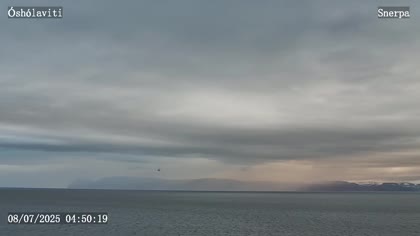 2025-07-08