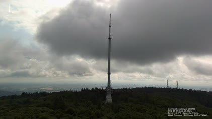 2025-06-05