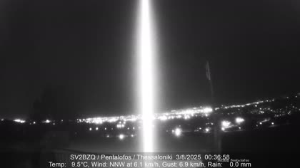 2025-08-03