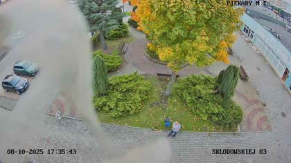 2025-10-08