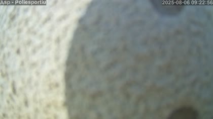 2025-08-06