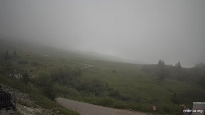 2025-07-12