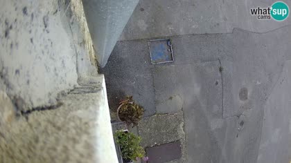 2026-09-15