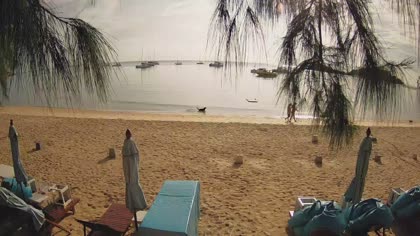 2026-05-30
