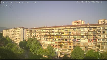 2025-07-25