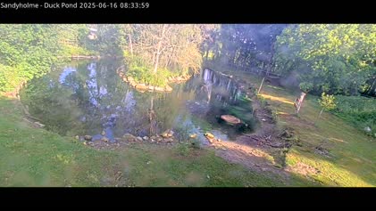 2025-06-16