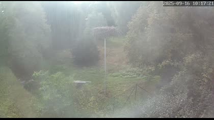 2025-09-16