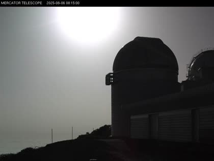 2025-08-06