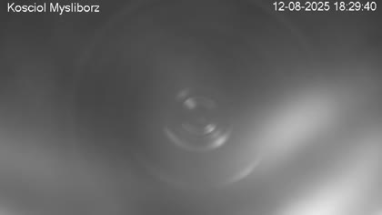 2025-08-12