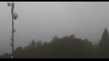 2025-10-12