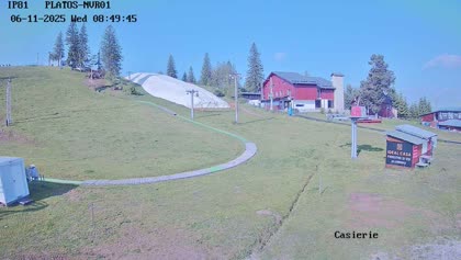2025-06-11