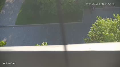 2025-05-21