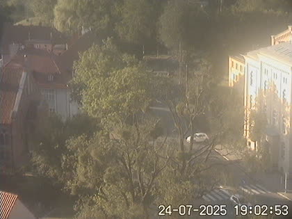 2025-07-24