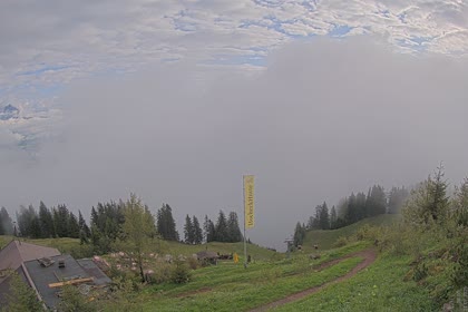 2025-07-31