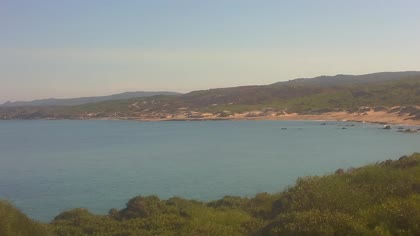 2026-10-15