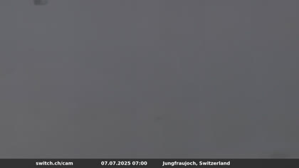 2025-07-07