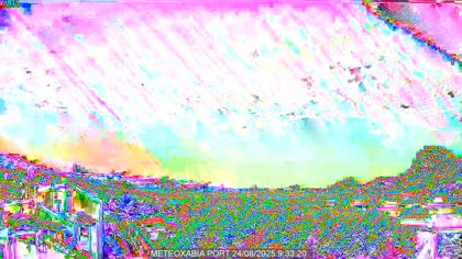2025-08-24