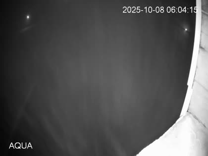 2025-10-08