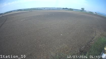 2026-07-12