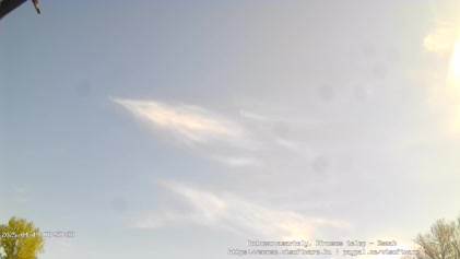 2025-04-19