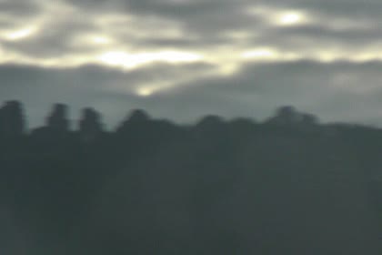 2025-08-05