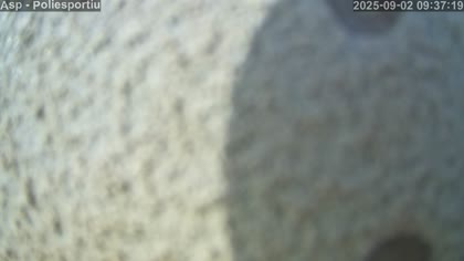 2025-09-02