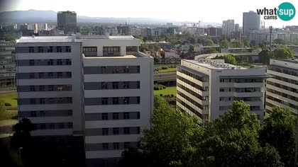 2026-05-24
