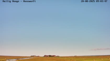 2025-08-20
