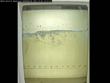 2025-10-04