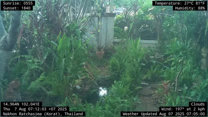 2025-08-07