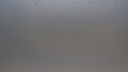 2025-05-20