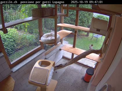 2025-10-19