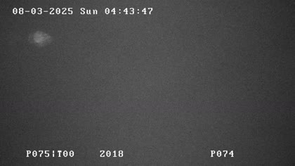 2025-08-03