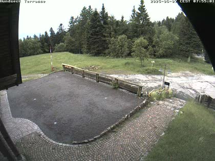 2025-06-07