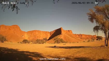 2026-06-03