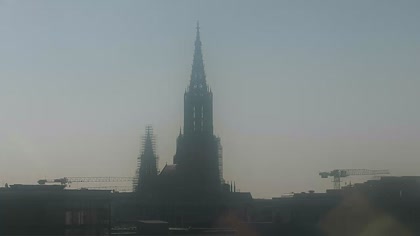 2025-08-09