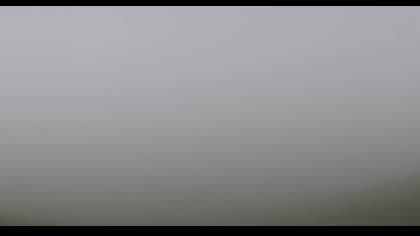 2025-08-29