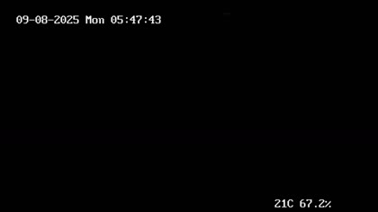 2025-09-08